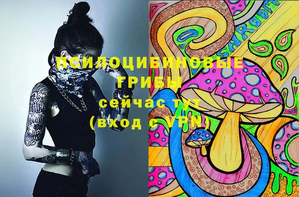 каннабис Белокуриха