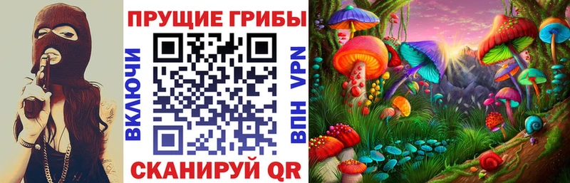 купить закладку  площадка телеграм  Галлюциногенные грибы Psilocybine cubensis  Дигора 