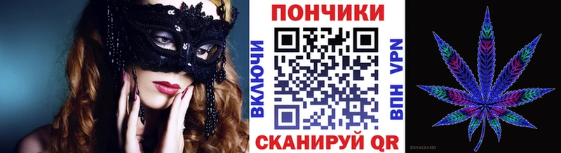 где найти Дигора Каннабис индика